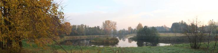 baner