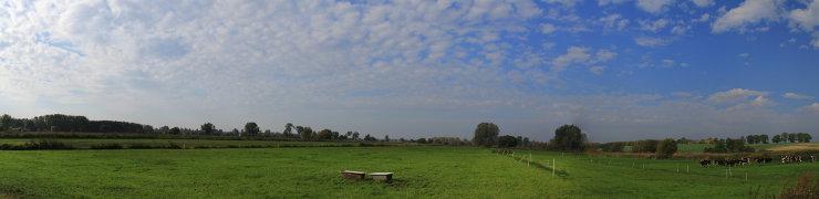 baner