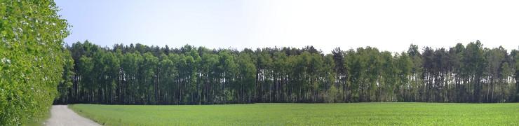 baner