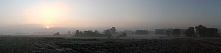 baner
