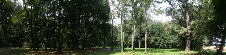 baner